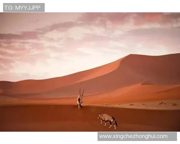 球队拍摄年度大片，幕后制作水准堪比大片