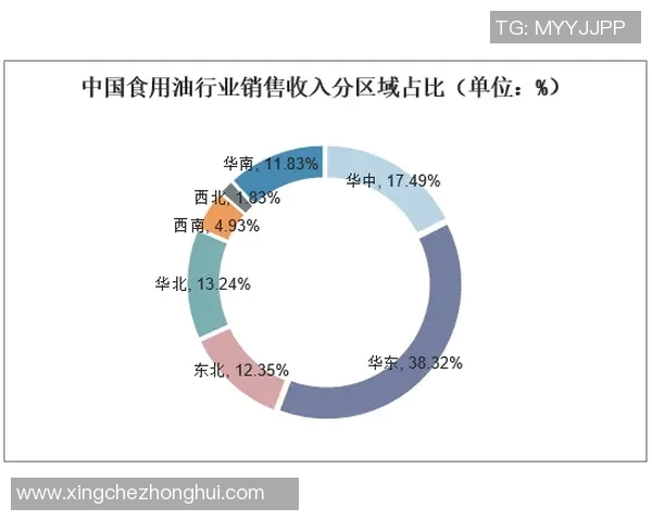 五年间足球转会市场数据全面演变与趋势变化深度分析