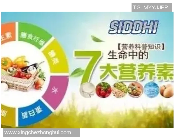 职业运动员饮食全揭秘 揭开高强度训练背后的营养密码